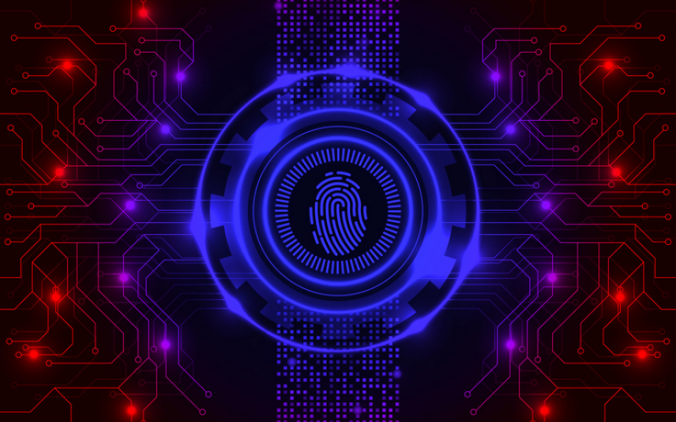 AI and Biometric Data Security: Advancements in Identity Verification
