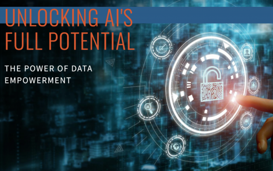 Data Empowerment: The Key to Unlocking AI's Full Potential