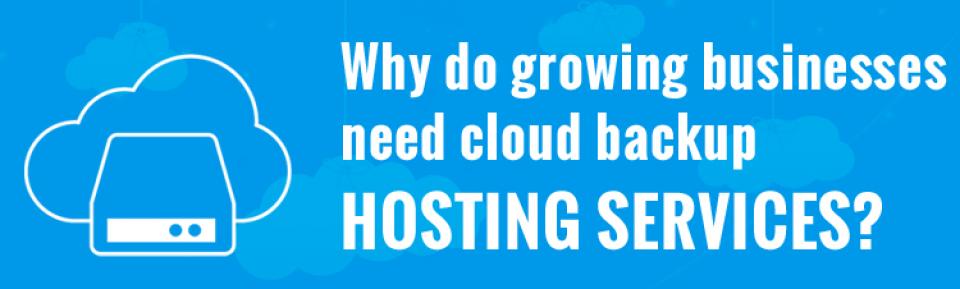 Why do growing businesses need cloud backup hosting services?