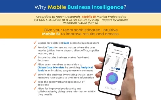 Why Mobile Business intelligence?