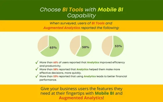 Choose BI Tools with Mobile BI Capability