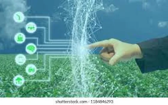 AI AGRICULTURE