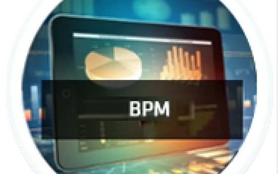 Business Process Modelling in the Shipping and Logistics Industry