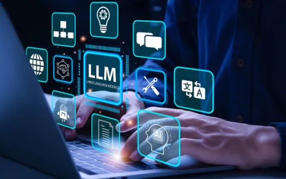 Navigating the Risks : Cautionary Insights into Large Language Models in Banking