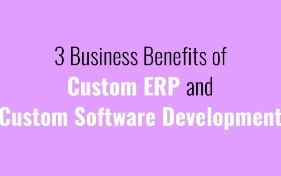 3 Business Benefits of Custom ERP and Custom Software Development