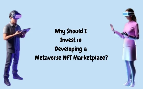 Why Should I Invest in Developing a Metaverse NFT Marketplace?