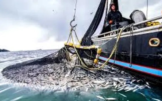 Greater adoption of digital technology in fisheries sector