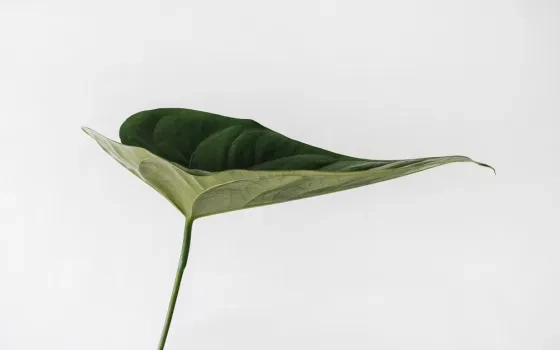 Aligning ESG with Corporate Strategy to Gain a Competitive Advantage