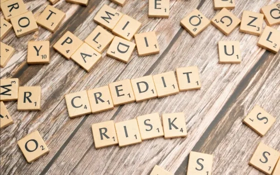 Boosting Credit Risk Performance with the Four Pillars of Modern Risk Management