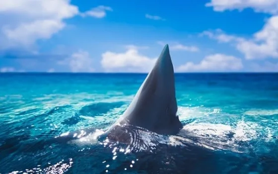 Scientists show technology can save people from shark bites