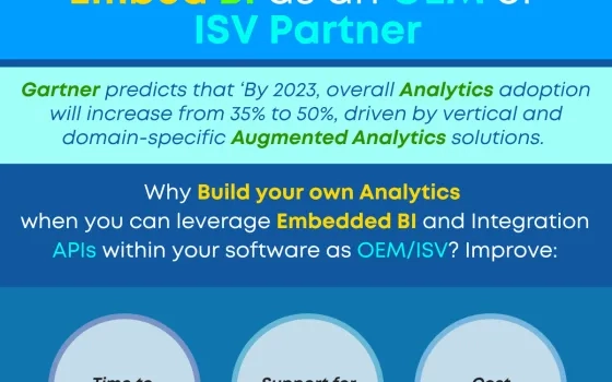 Why Spend Time and Money Developing BI? Embed BI in Your Software Product