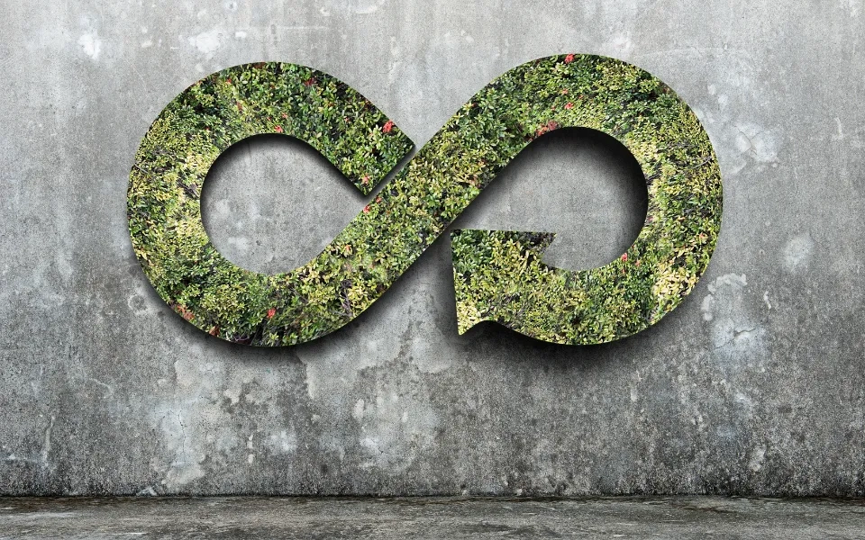 Building a Circular Economy: Technology Solutions for Waste Management and Recycling