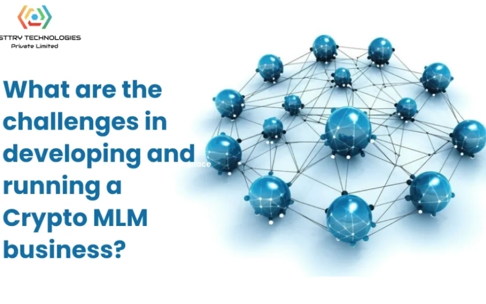 What are the challenges in developing and running a Crypto MLM business?