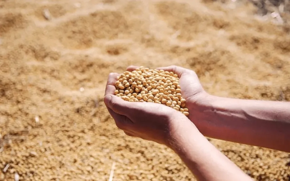 GovTech For Seamless Food Distribution System