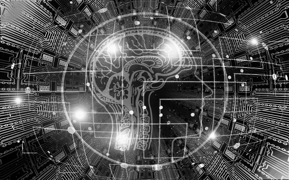 Using Data Science in Speech and Sound Analysis