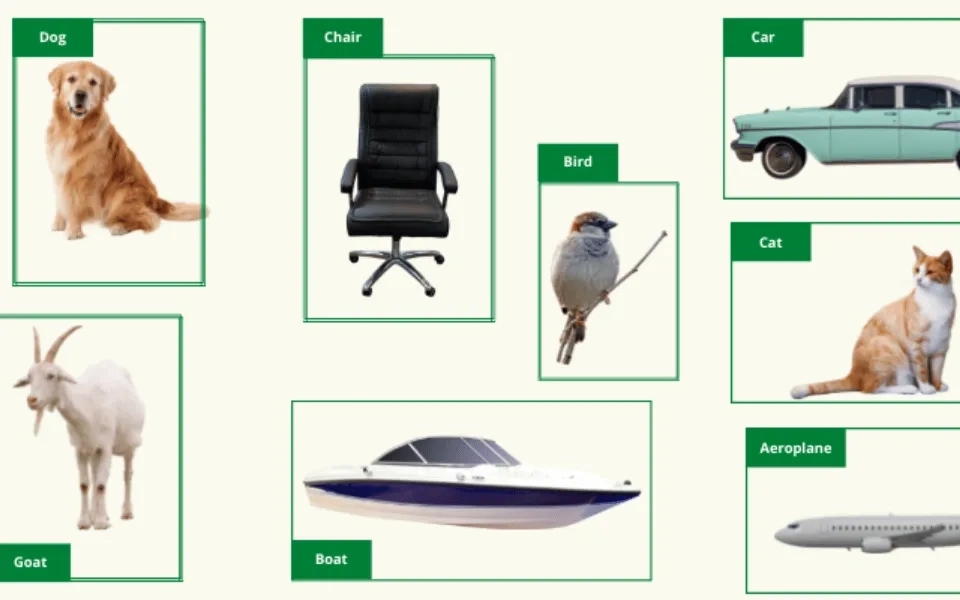 ANPR using NanoDet, an Anchor-free Object Detection model 
