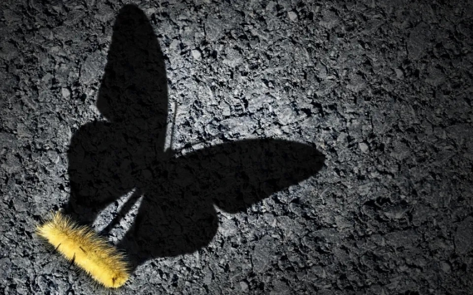 Courage is Destiny – Reimagining Leadership in the Hybrid Workspaces