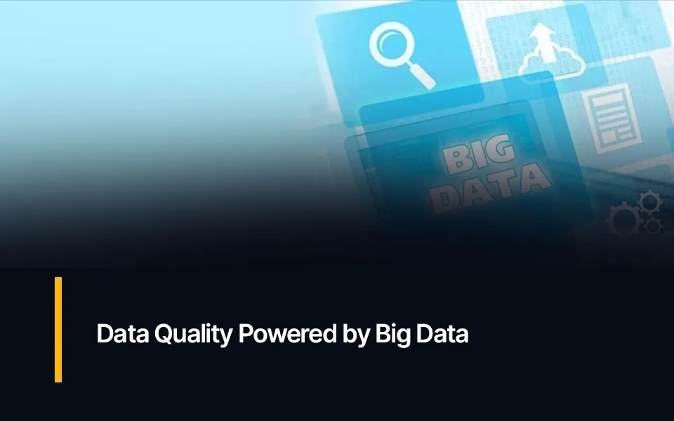Data Quality Powered by Big Data