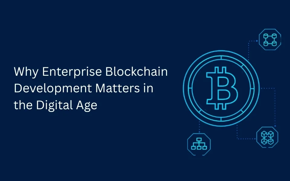 Why Enterprise Blockchain Development Matters in the Digital Age