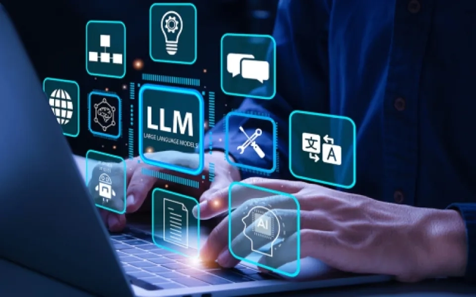 Navigating the Risks : Cautionary Insights into Large Language Models in Banking