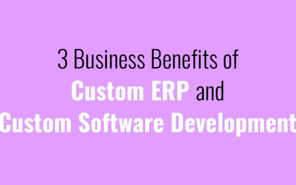 3 Business Benefits of Custom ERP and Custom Software Development