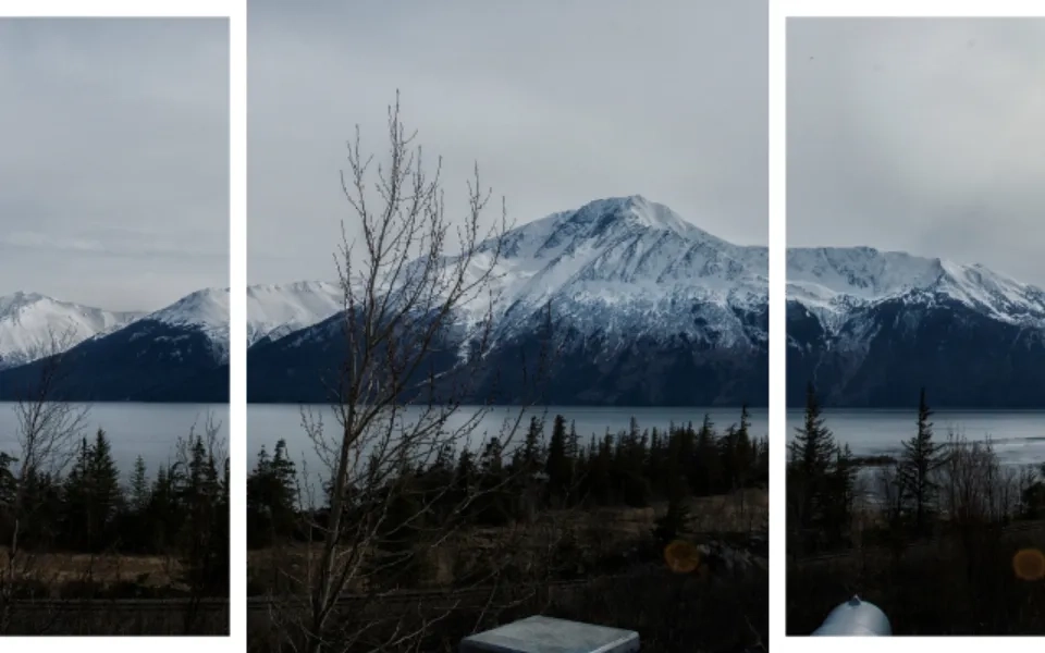 Use of Homography Matrix for image stitching