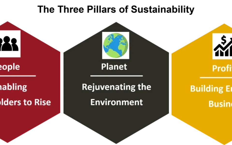 People, Planet and Profit – The three pillars driving sustainability focus for Indian IT