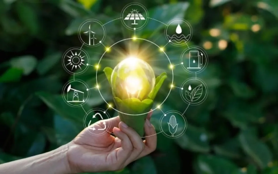 A Global Rush of Net-Zero Transitions - The Future Is Now