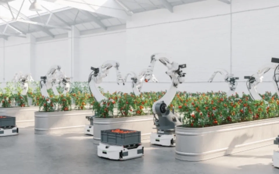 AI in Farming, Education and Healthcare