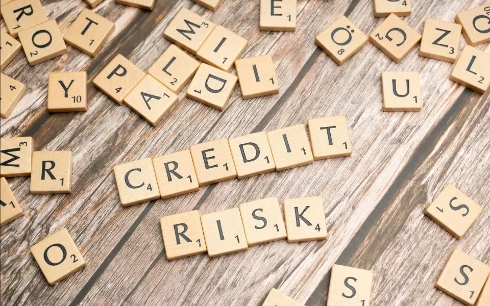 Boosting Credit Risk Performance with the Four Pillars of Modern Risk Management