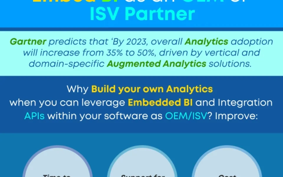 Why Spend Time and Money Developing BI? Embed BI in Your Software Product