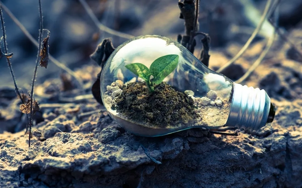 The Technology Ecoadvantage : Achieving Sustainability Goals