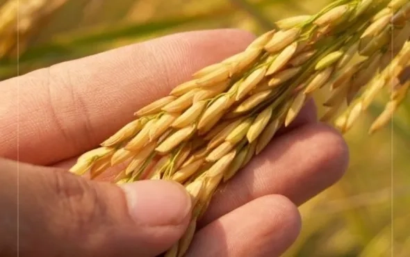 Digital Makeover In Farm Procurement