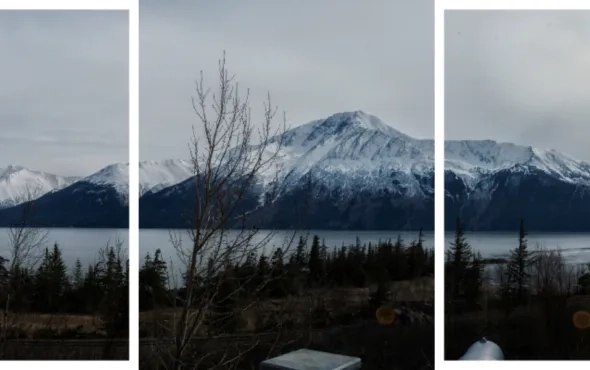 Use of Homography Matrix for image stitching