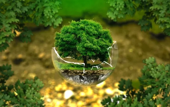 AI in Environment Tech: Does AI technology saves our Environment?