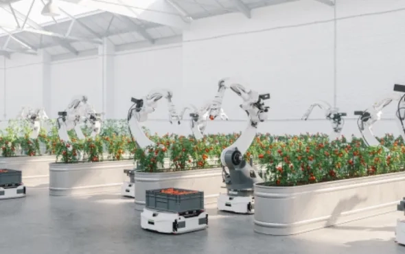 AI in Farming, Education and Healthcare