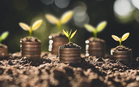 THE RISE OF THE SUSTAINABILITY MINDSET IN NEW PRODUCT DEVELOPMENT