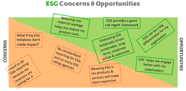 ESG Concerns and Opportunities