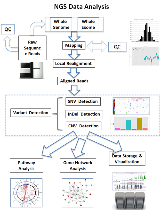 NGS Data analysis flowchart