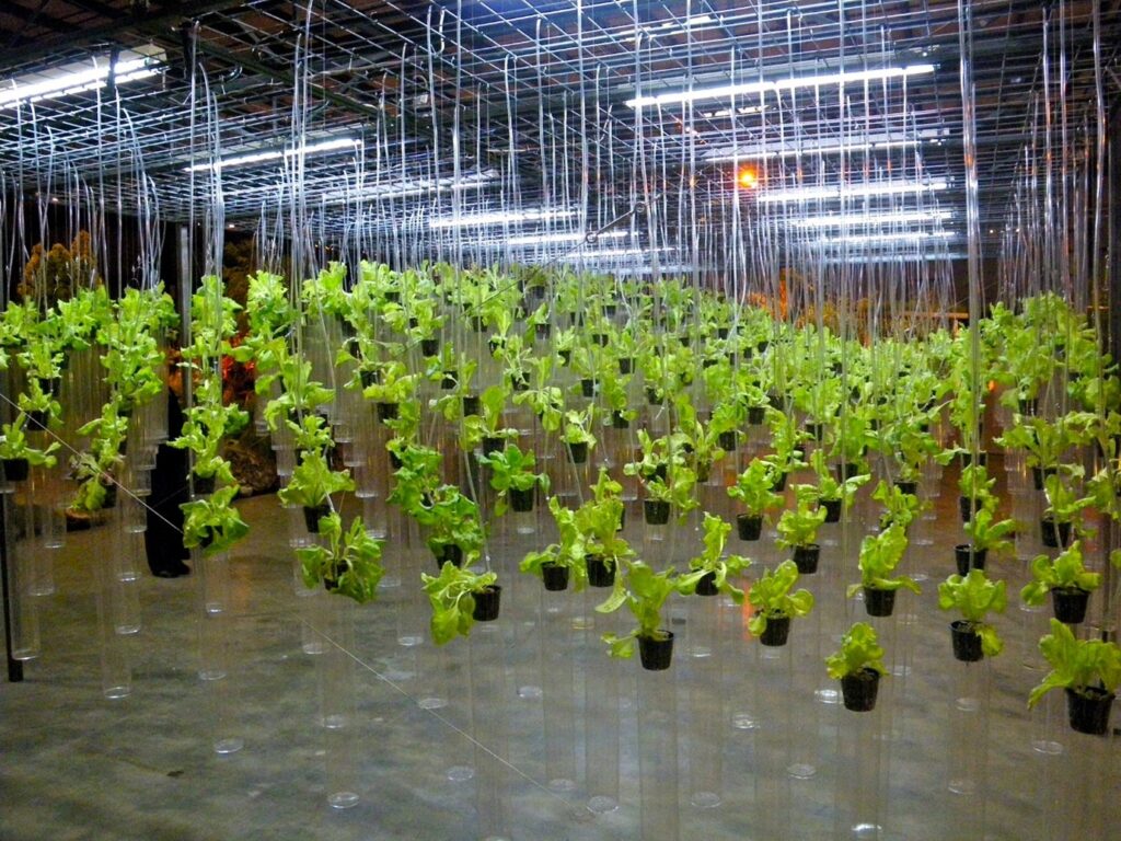 hydroponics, Vertical farming, renewable energy: