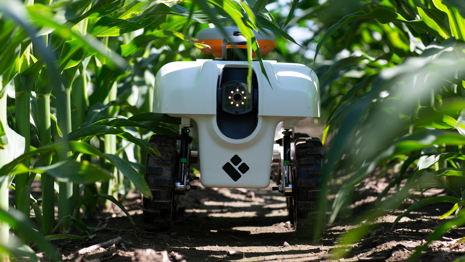 Use of Agricultural Robot to protect crops from weeds