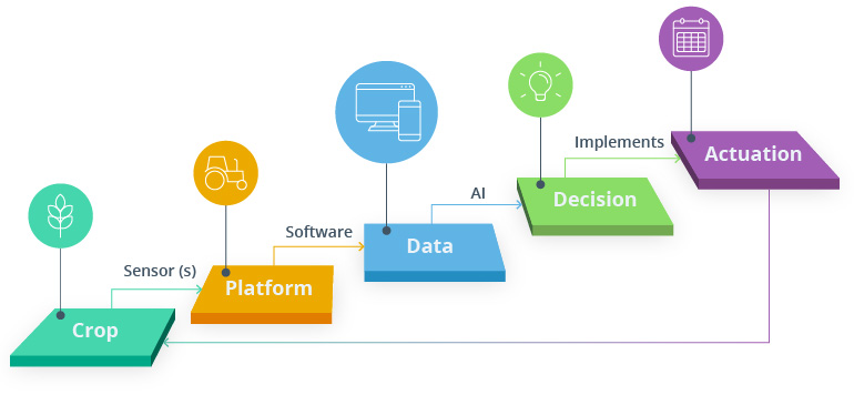 Steps to apply AI in Agriculture