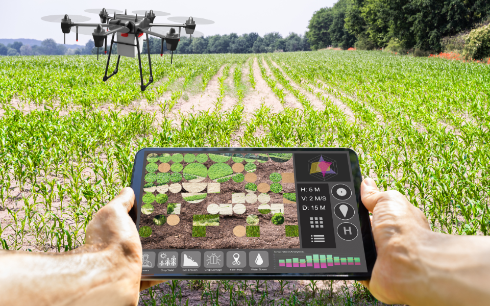 Why Smart Farming is the Future | nasscom | The Official Community of Indian IT Industry