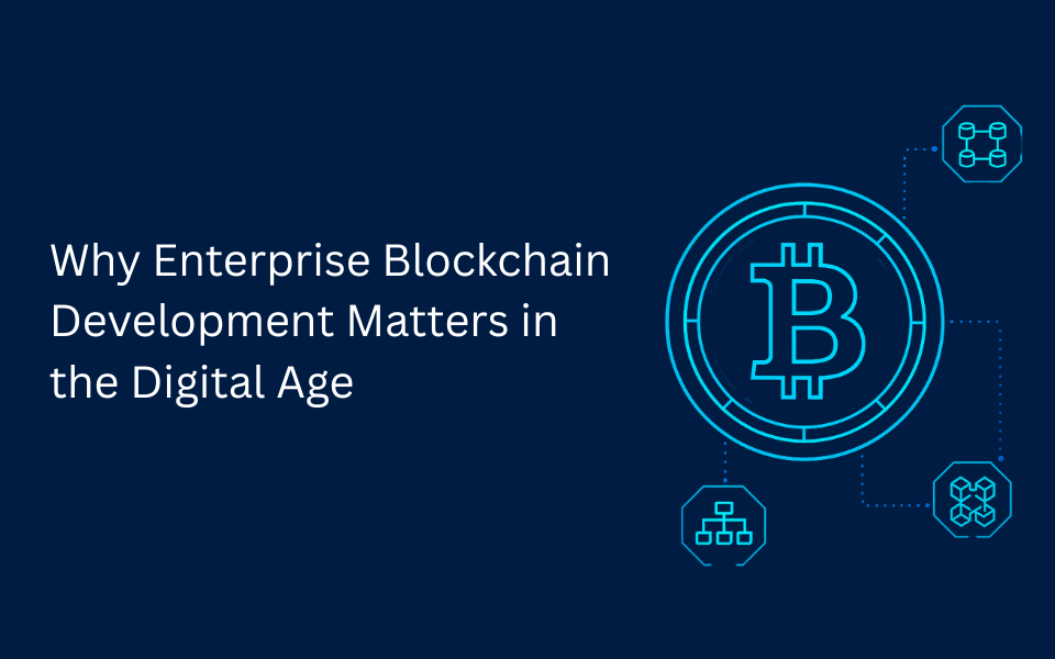Why Enterprise Blockchain Development Matters in the Digital Age