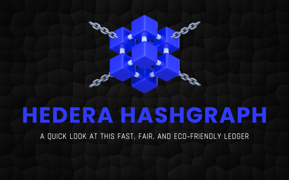 Hedera Hashgraph: A Quick Look at This Fast, Fair, and Eco-Friendly Ledger