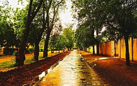 abhishekkumar