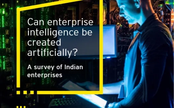 Can enterprise intelligence be created artificially?A survey of Indian enterprises