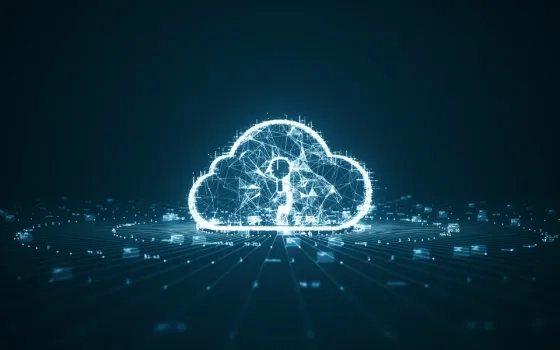 Collaborative Governance: How Cloud Platforms Facilitate Interagency Cooperation