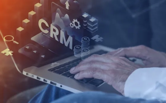 Elevate Your Custom Web Development with the Right CMS.