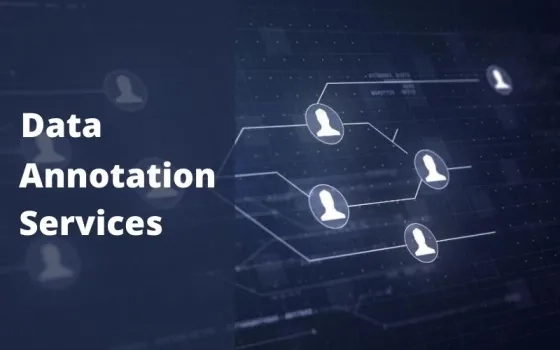 Data Annotation and Labelling Services: India Value Proposition and Industry Maturity